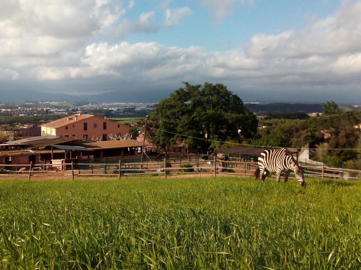 Masia Can Sala Hotell Montornés del Vallés Exteriör bild